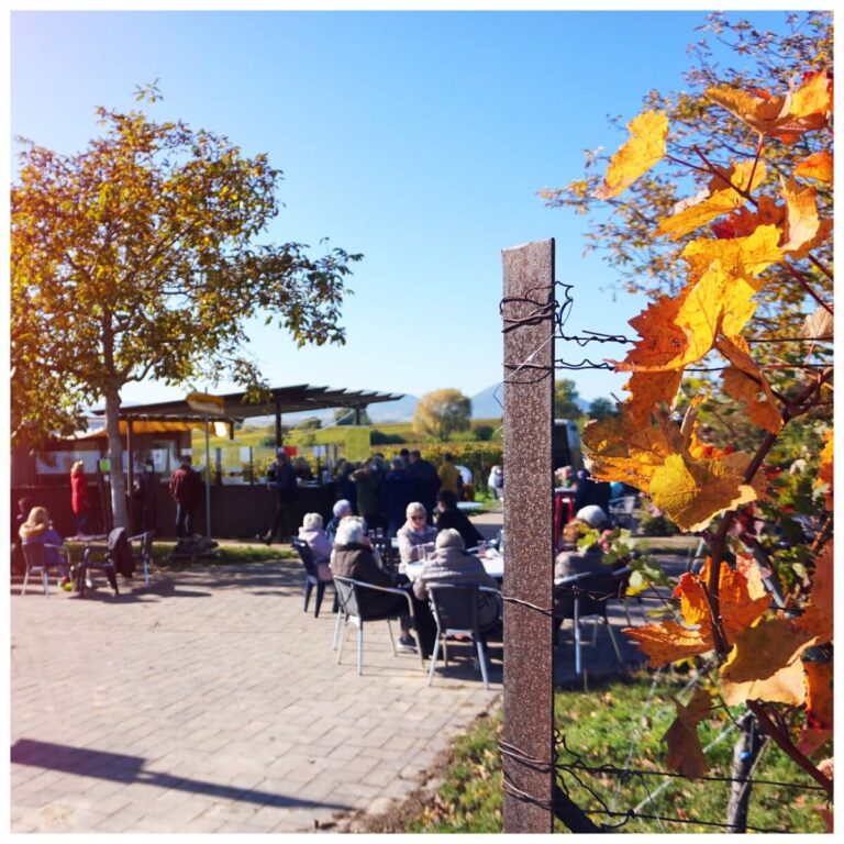 Weinerlebnispfad Ausschank Herbst