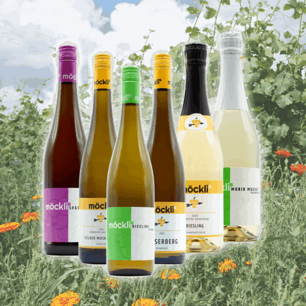 Sommerpaket 2025