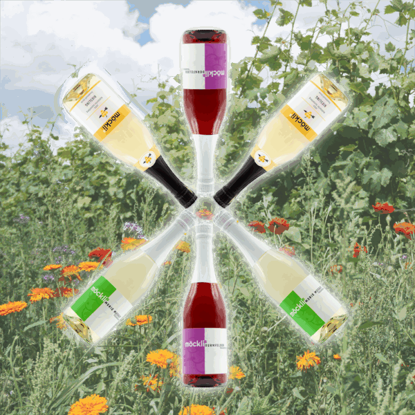 Secco Sommerpaket 2025